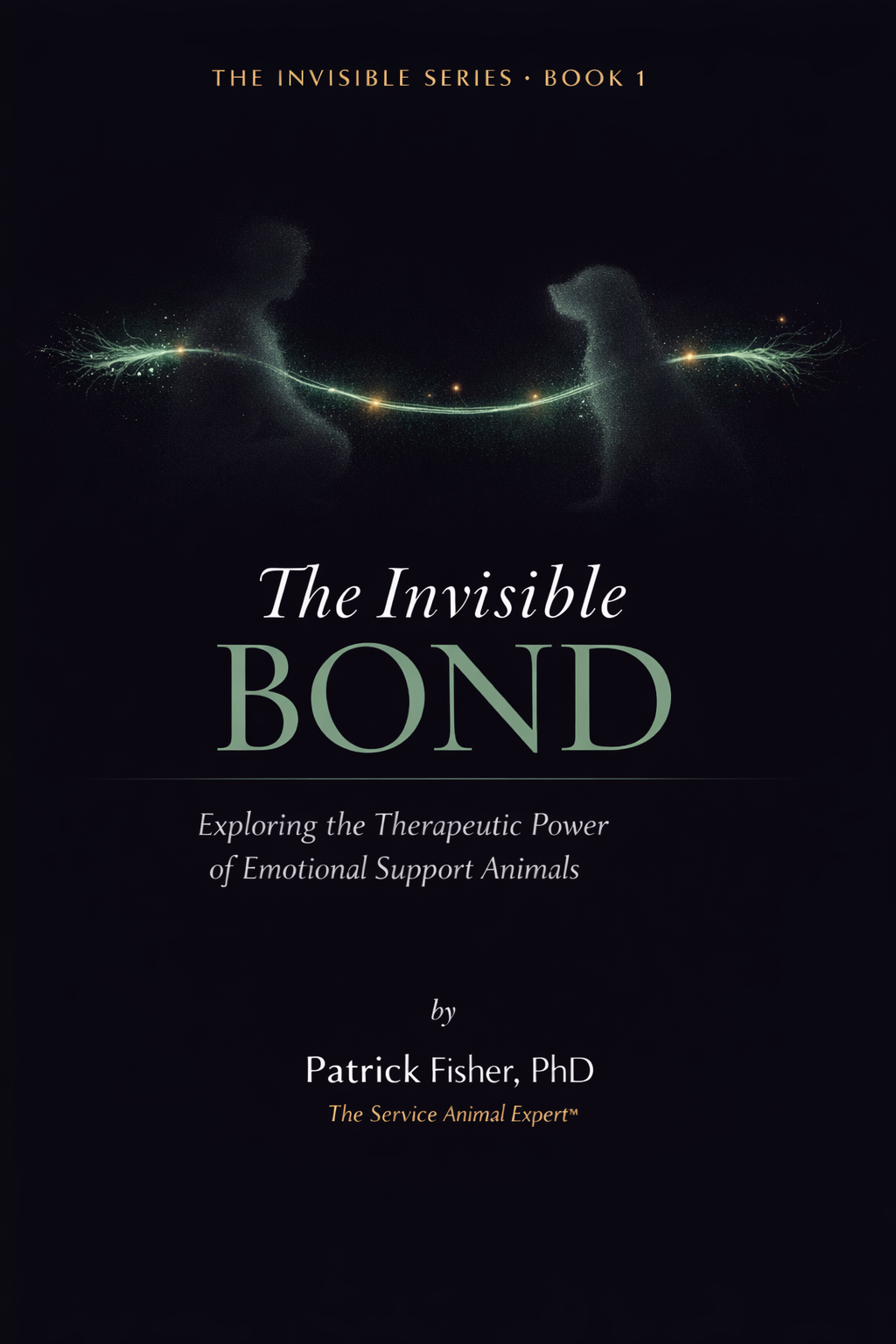 The Invisible Bond cover